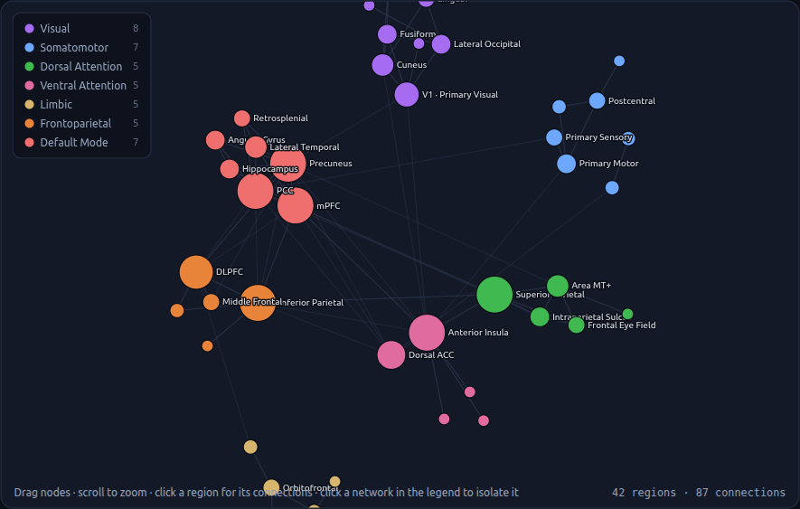 Brain Connectome Explorer